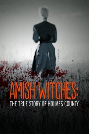 Amish Witches: The True Story of Holmes County